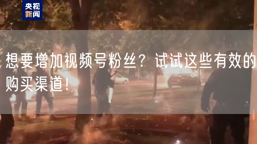 想要增加视频号粉丝？试试这些有效的购买渠道！